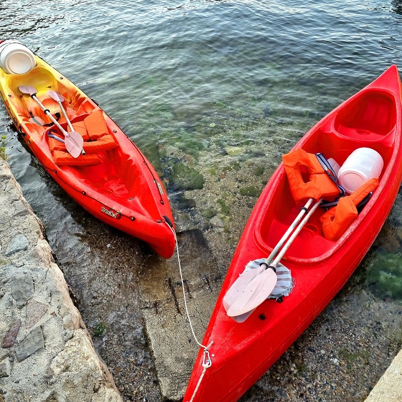 Sightsee bay with our kayaks